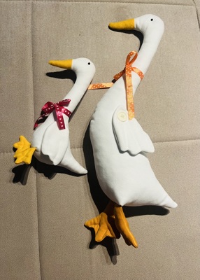 Гъски бели долетели и други белодрешковци