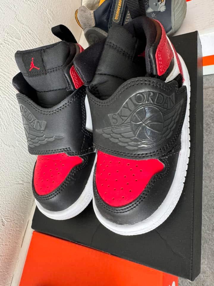 Sky Jordan 1
