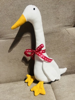 Гъски бели долетели и други белодрешковци