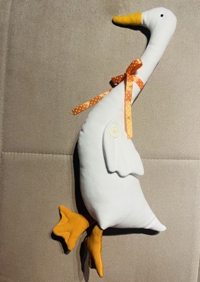 Гъски бели долетели и други белодрешковци