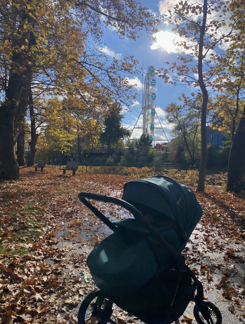 Бебешка количка 2 в 1 KinderKraft - Nea, тъмнозеле