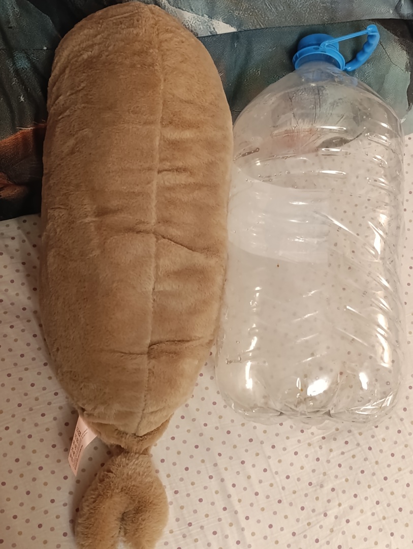 Плюшена играчка, възглавница, тюленче