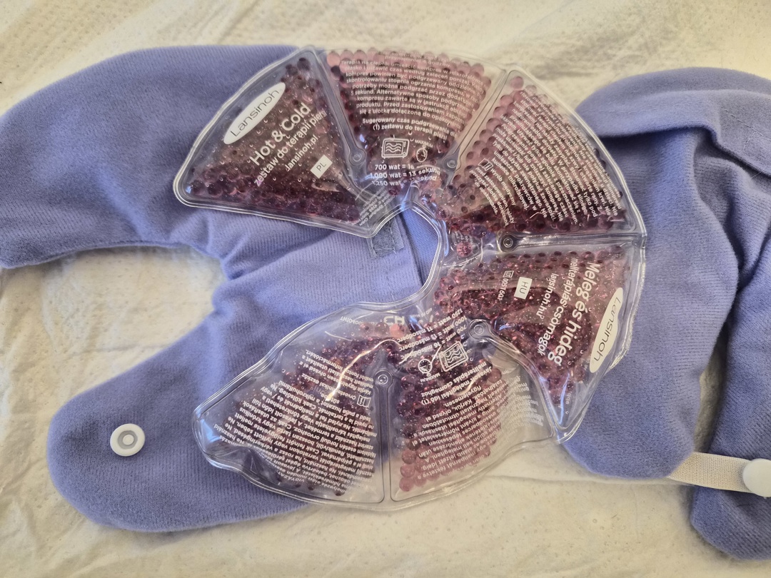 Електрическа помпа за кърма